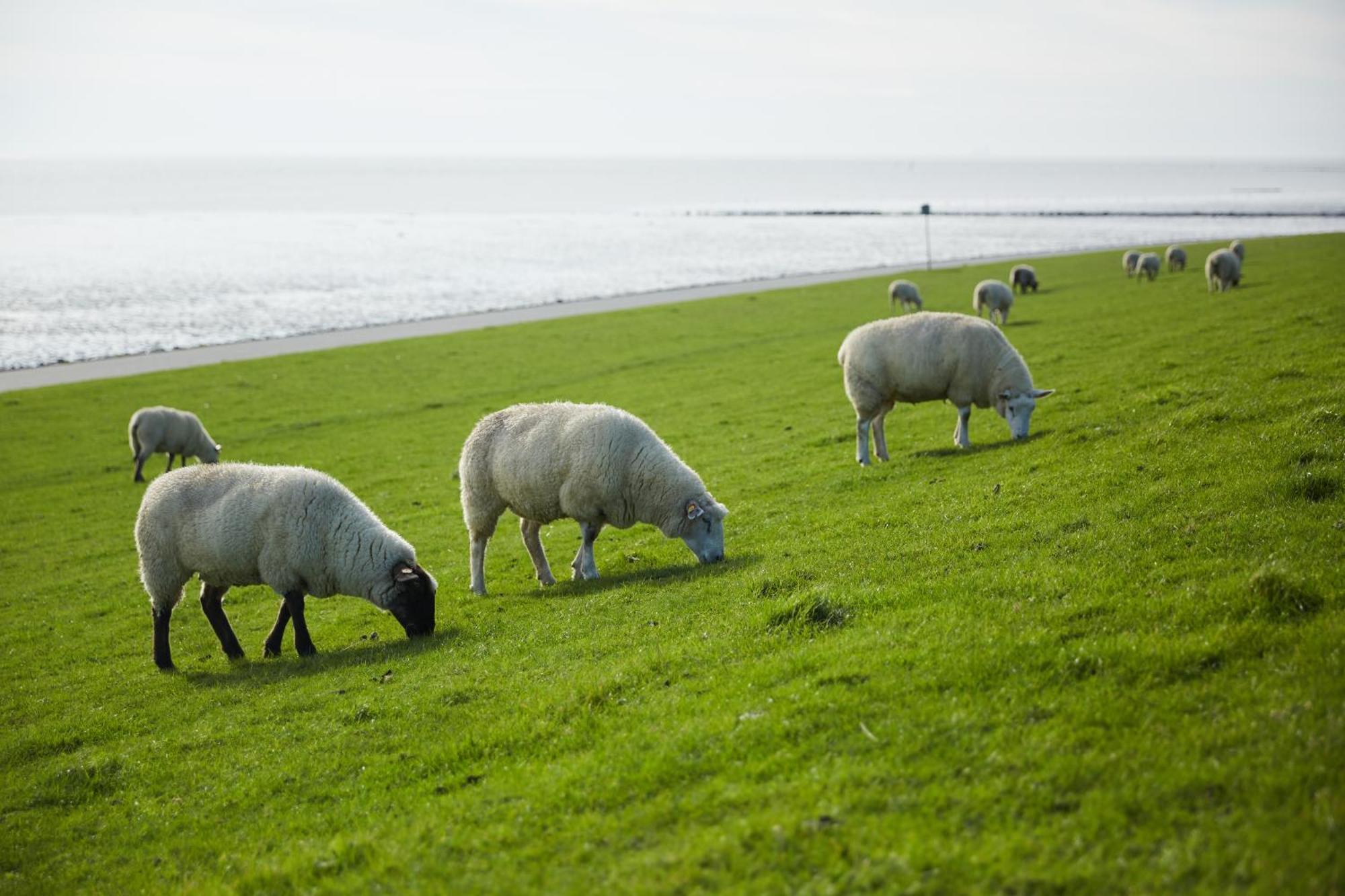 Strandhotel Salty Büsum Eksteriør bilde